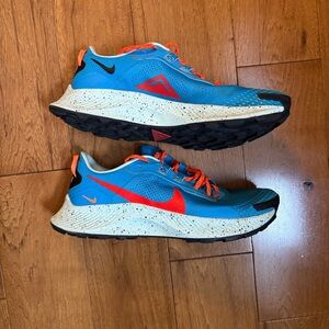 Nike Pegasus Trail 9.5